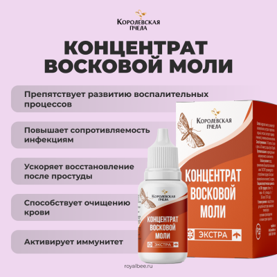 BOX "ЖЕНСКАЯ ГАРМОНИЯ"